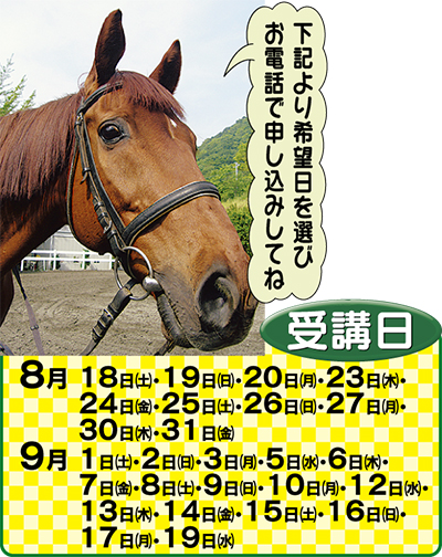 無料招待！体験乗馬１回コース 先着20名 初秋の特別企画 本物の馬に乗ってみよう！ | 海老名・座間・綾瀬 | タウンニュース