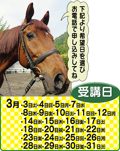 無料招待！体験乗馬１回コース 先着30名 春の特別企画 本物の馬に乗ってみよう！ | 伊勢原 | タウンニュース