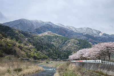 ふるさと山の四季 郷土資料館で写真展 愛川 清川 タウンニュース