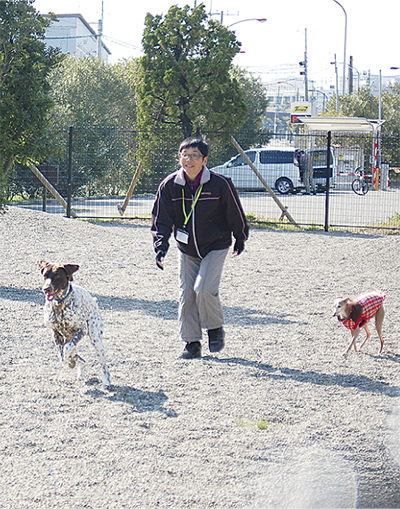 ドッグラン 追浜に開設 犬を自由に遊ばせたい の声受け 横須賀 タウンニュース