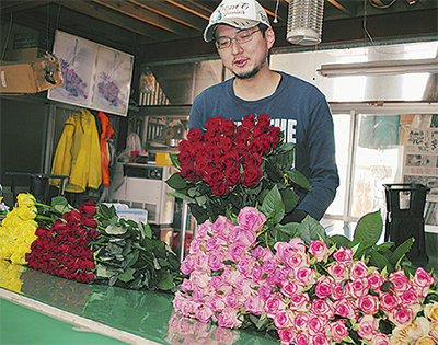 バラ農家出荷ピーク 母の日 ブライダルシーズン控え 平塚 タウンニュース