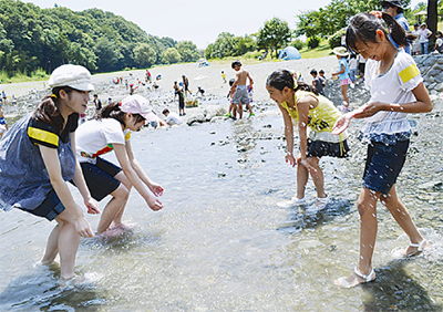 小学生と高校生が交流 秦野 タウンニュース