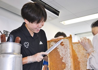 蜜蓋の切り取りに挑戦する長谷川選手