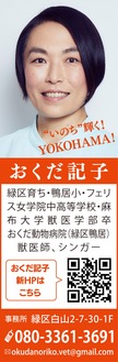 我が家は避難所にできる？｢在宅避難｣を考えてみましょう！