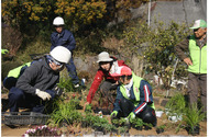 専門家に学び「宿根草」植栽