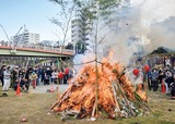 区内各地でどんど焼き