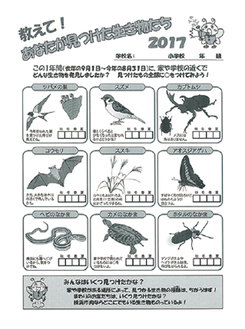 ９種類の生物が記された回答用紙