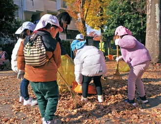 夢中で枯葉拾いする園児たち