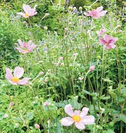 10月 豊穣の喜ぶを謳う季節