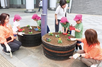 体重をかけ花苗の周りの土を固める園児たち