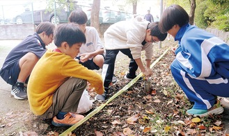 球根植え器で等間隔に