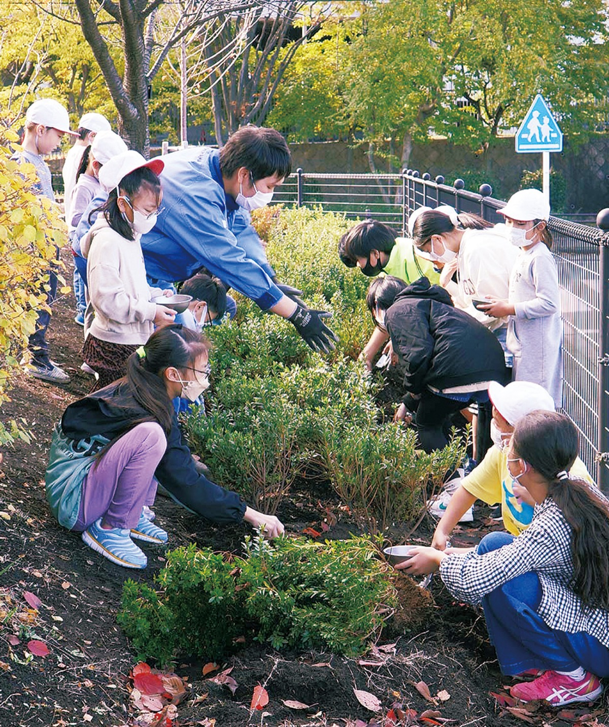 校内の植樹、着々と 東山田小学校 | 都筑区 | タウンニュース