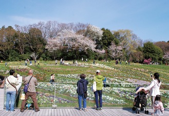 区内で自然を満喫できる場所のひとつ里山ガーデン。５月９日まで「里山ガーデンフェスタ」が開催されている