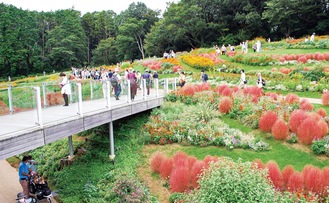 一昨年秋に公開された里山ガーデン内の大花壇