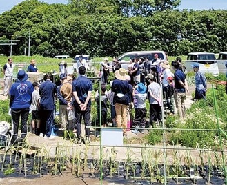 種植えには大勢が参加した※提供写真