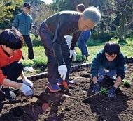 公園を花で彩る