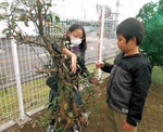 飾り付けする子ども※事業所より写真提供