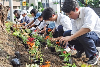 花を丁寧に植えていく児童、生徒たち