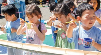 流しそうめんを楽しむ園児