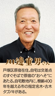 川邊重男さんと行く戸塚区原宿、いまむかし