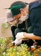 定時制生徒が花植え