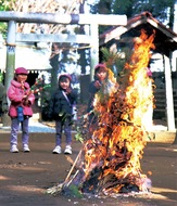 さいと焼きで｢無病息災｣