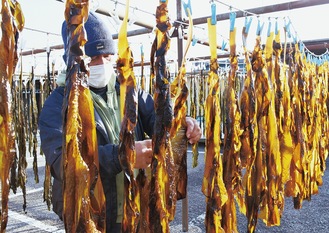 ワカメを１本１本丁寧に広げて干す（２月16日撮影）