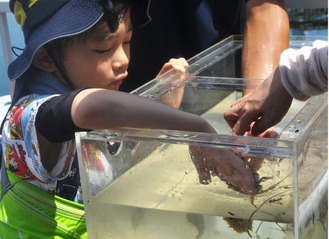 横浜・八景島シーパラダイスで海の生き物観察ツアー