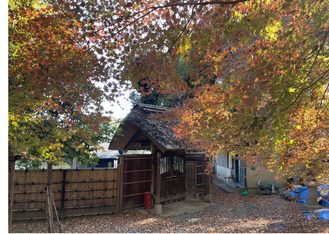 昨年の紅葉の様子＝金沢区役所提供