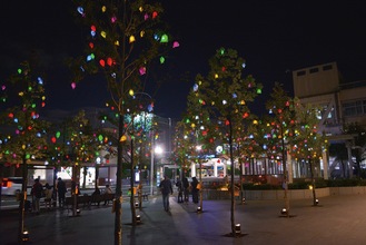 カラフルに光る「ひかりの実」