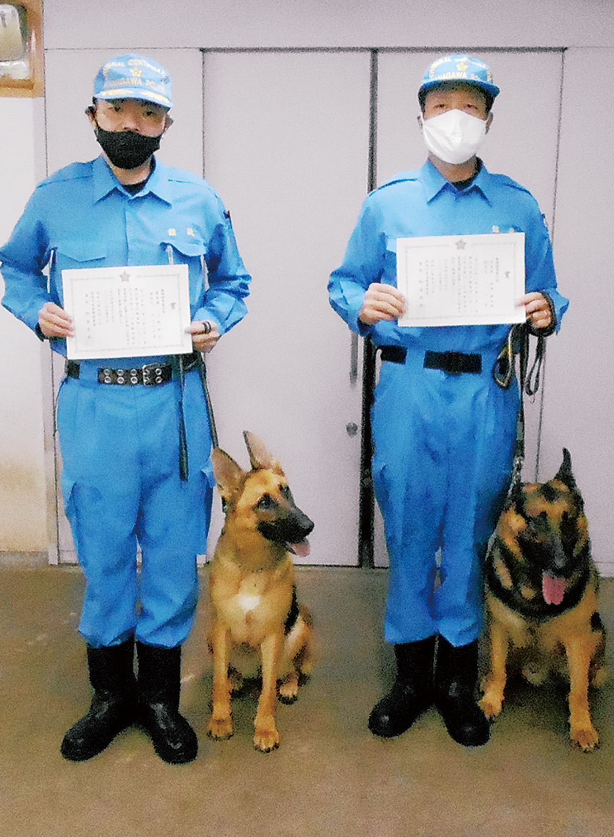 警察犬が行方不明者発見 栄警察署が功労表彰 | 港南区・栄区 | タウンニュース