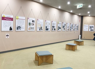 展示会場の様子