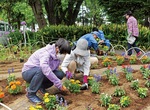 花苗を植え付け