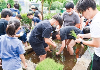 泥だらけになりながらも楽しんで田植えを行った