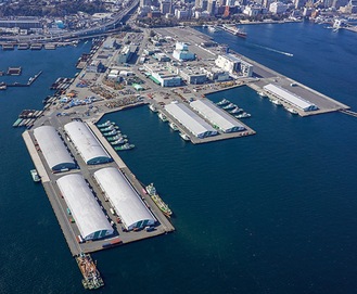 上空から見た山下ふ頭＝横浜市港湾局提供