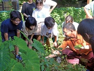 複数植物育て生態系学ぶ