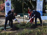 掃部山公園にシドモア桜