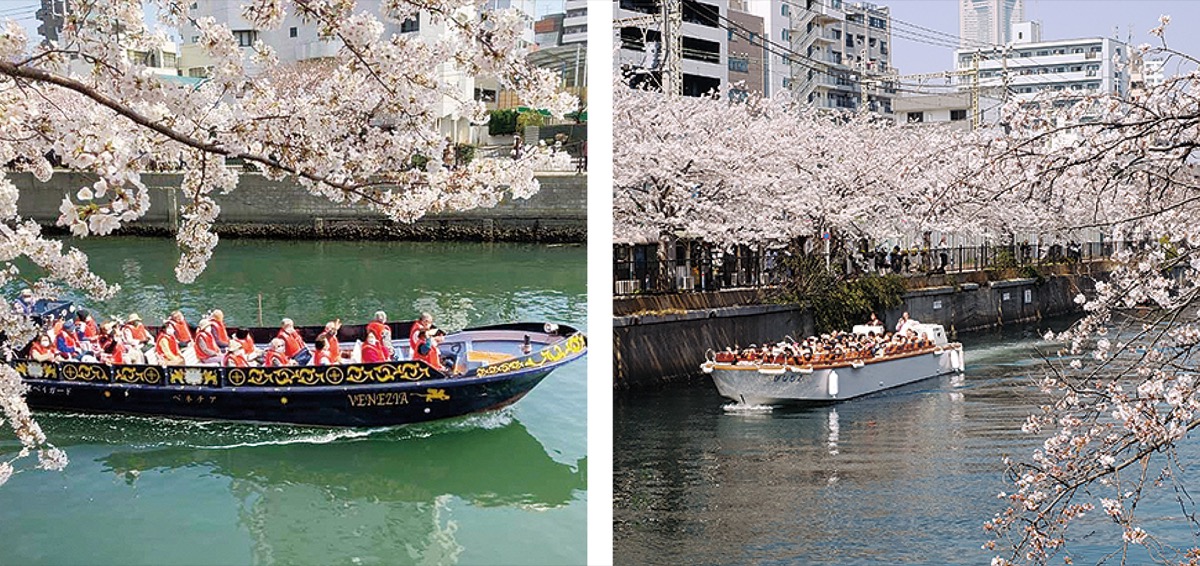大岡川 花見スポットをクルーズ 運河チャレンジ 春の初開催 | 中区