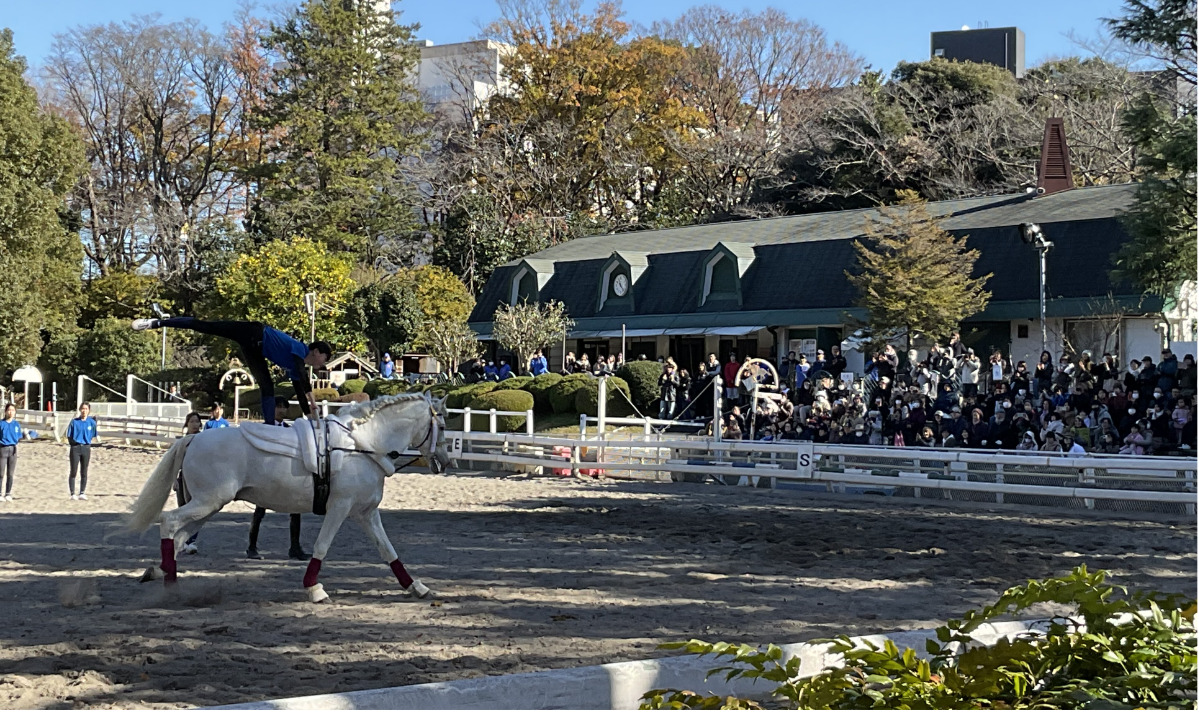 根岸競馬記念公苑が12月28日から長期休苑に