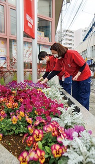 花壇に色とりどりの花が並ぶ