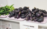 地場野菜の展示コーナーを設置