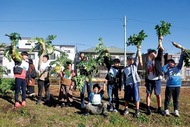 元気村で｢大収穫祭｣