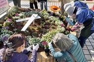 生ごみ堆肥 花壇に