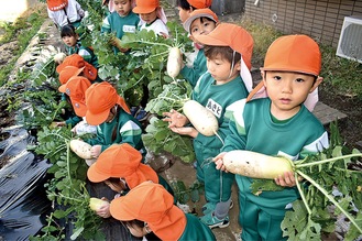 大きく育った大根を持つ園児（同園提供）