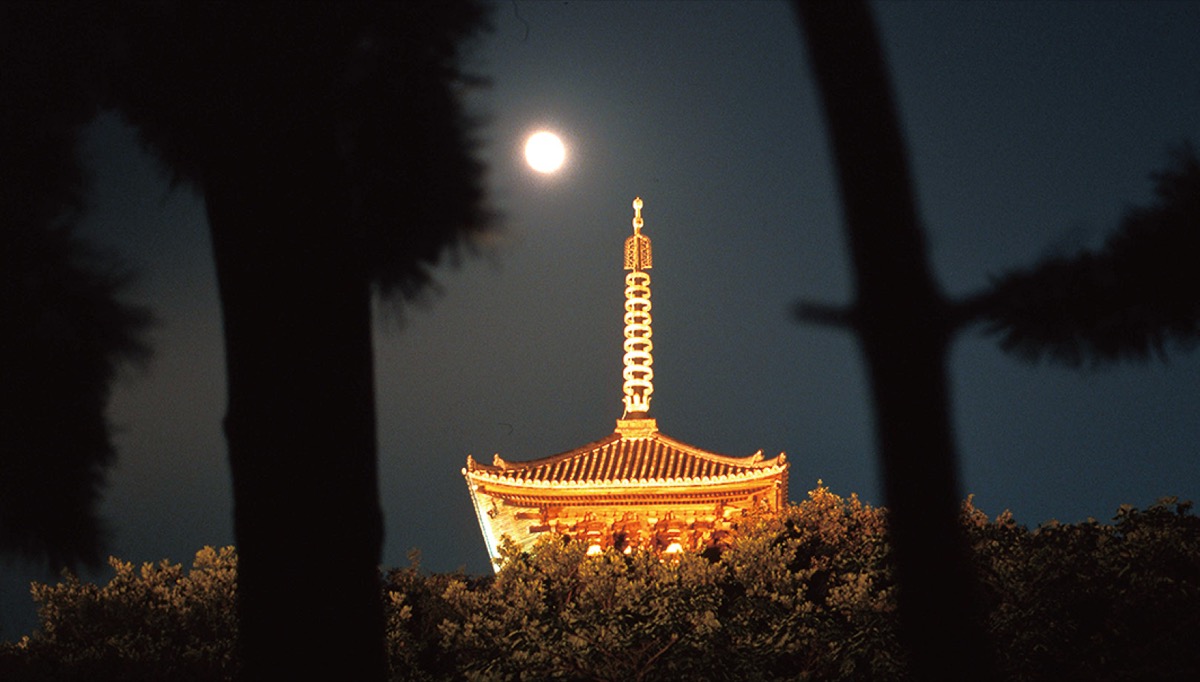 三溪園 秋の夜に観月会