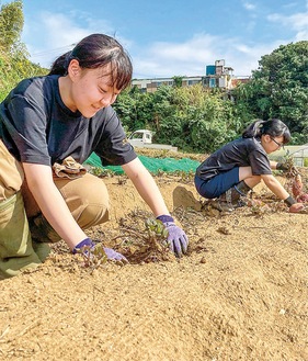 生産現場で実習。農業の全てに取り組む