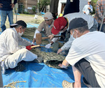 協力して大蛇を作る住民たち