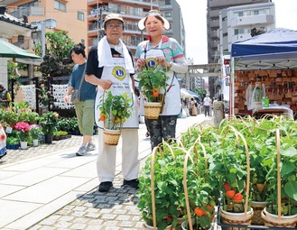 初夏告げるほおずき市