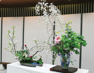 秋を彩る茶華道展