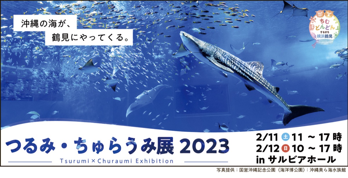 沖縄の海がやってくる ２月に「つるみ・ちゅらうみ展」 | 鶴見区